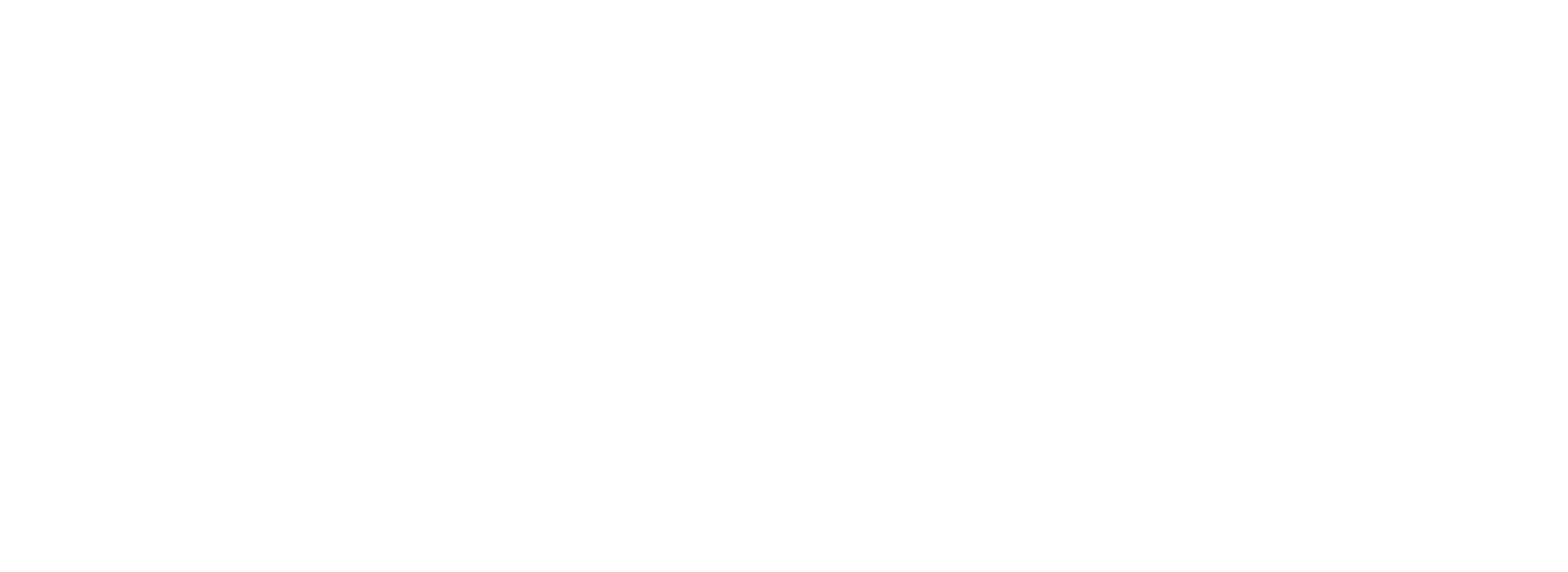 Vergine — STEC partner in heavy engineering